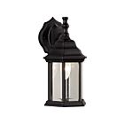 Canarm IOL410 100W Black Outdoor Light