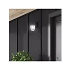 Canarm IOL698BK 60W Black Outdoor Light