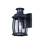 Canarm IOL715BK Buckly Black 100W Outdoor Light