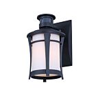 Canarm IOL716BK Casper Black 100W Outdoor Light