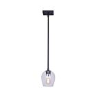Canarm IPL1019A01BK CAIN 1-Light 100W Matte Black Mini Pendant