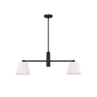 Canarm IPL1201A02BK 2-Lights 120W Matte Black Pendant