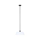 Canarm IPL1201A03BK20 3-Lights 180W Matte Black Pendant