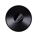 Canarm IPL1203A04BKG22 4-Lights 240W Matte Black Pendant