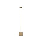 Canarm IPL1208A01PGD 1-Light 15W Painted Gold Pendant