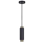 Canarm IPL1231A01BKG10 1-Light 50W Matte Black Pendant