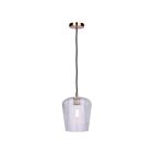 Canarm IPL1249A01GD-CR Leandro 1-Light 60W Gold Pendant