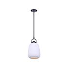 Canarm IPL2263B01BK Kaslo 1-Light 60W Matte Black Pendant
