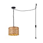 Canarm IPL2272B01NA Ruppia Swag 40W Black Pendant