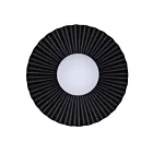 Canarm IVL1210A01BK9 40W Matte Black Vanity Light