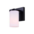 Canarm IVL1234A01BK-FO Britton 1-Light 100W Matte Black Vanity Light