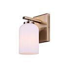 Canarm IVL1241A01GD Bram 1-Light 60W Gold Vanity Light