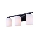 Canarm IVL1241A03BK Bram 3-Lights 60W Matte Black Vanity Light