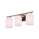 Canarm IVL1241A03GD Bram 3-Lights 60W Gold Vanity Light