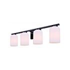 Canarm IVL1241A04BK Bram 4-Lights 60W Matte Black Vanity Light