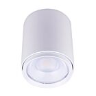 CSC LED CYL-35W-3P-4CCT-UD-WH White Cylinder Light Wattage and CCT Selectable