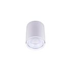 CSC LED CYL-35W-3P-4CCT-UD-WH White Cylinder Light Wattage and CCT Selectable