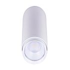 CSC LED CYL-35W-3P-4CCT-UD-WH White Cylinder Light Wattage and CCT Selectable