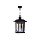 CWI Lighting Blackburn 0411P9-1-101 Black 1 Light 60W Outdoor Pendant