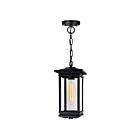 CWI Lighting Oakwood 0422P7-1-101 Black 1 Light 40W Outdoor Pendant