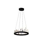 CWI Lighting Juliette 1043P16-101 Black 55W LED Chandelier
