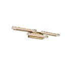 CWI Lighting 1586W36-3-624 Valira 30W Brass LED Vanity Light