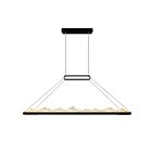 CWI Lighting Himalayas 1601P62-101 Black 38W Chandelier