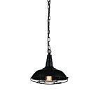 CWI Lighting Morgan 9611P11-1-101 Black 1 Light 60W Pendant