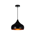 CWI Lighting Dynamic 9633P13-1-101 1-Light 60W Black Chandelier