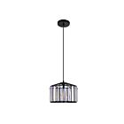 CWI Lighting Alethia 9942P10-1-101-C Black 1 Light 60W Pendant