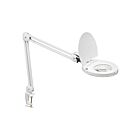 Dainolite DMLED10-A-5D-WH 1-Light 8W White Adjustable LED Table Lamp