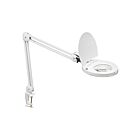 Dainolite DMLED10-A-WH 1-Light 8W White Adjustable LED Table Lamp