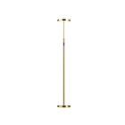 Dainolite FCE-5430LEDF-AGB Francine 30W Aged Brass LED Floor Lamp