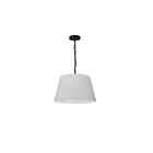 Dainolite BRY-S-BK-790 Brynn 1-Light Black Chain Pendant
