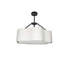 Dainolite DAL-254C-MB Dalia 4-Lights 240W White LED Chandelier