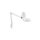 Dainolite DMLED10-A-5D-WH 1-Light 8W White Adjustable LED Table Lamp