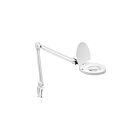 Dainolite DMLED10-A-WH 1-Light 8W White Adjustable LED Table Lamp