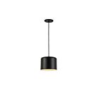 Dainolite Emilia EMI-81P-MB 1-Light Matte Black 60W Incandescent Pendant