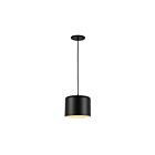 Dainolite Emilia EMI-81P-MB 1-Light Matte Black 60W Incandescent Pendant