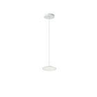 Dainolite FCA-58LEDP-MW Franchesa 1-Light 8W Matte White LED Pendant