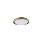 Dainolite FYN-1224LEDFH-AGB Flynn 24W Aged Brass LED Flush Mount