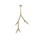 Dainolite MOR-125P-AGB Morgan 5-Lights 300W Aged Brass LED Pendant