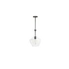 Dainolite PTL-101P-MB Petalite 1-Light 100W Clear Incandescent Pendant