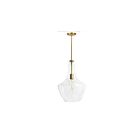 Dainolite PTL-121P-AGB Petalite 1-Light 100W Clear Incandescent Pendant