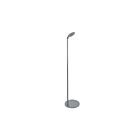 Dainolite RGA-509LEDF-SLV Regina 1-Light 9W Silver LED Floor Lamp