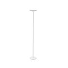 Dainolite RQL-7010LEDF-MW Raquel 1-Light 24W Matte White LED Floor Lamp