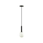 Dainolite TAR-61P-MB-WH 1-Light 60W Matte Black Incandescent Pendant