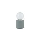 Dainolite TYA-31T-GRY Tonya 1-Light 60W Grey LED Table Lamp