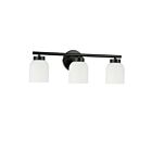 Dainolite VND-213W-MB Vonda 3-Lights 180W Matte Black LED Vanity Light
