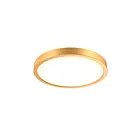 Dals Lighting CFLEDR10-CC-GD 11W Gold LED Flush Mount